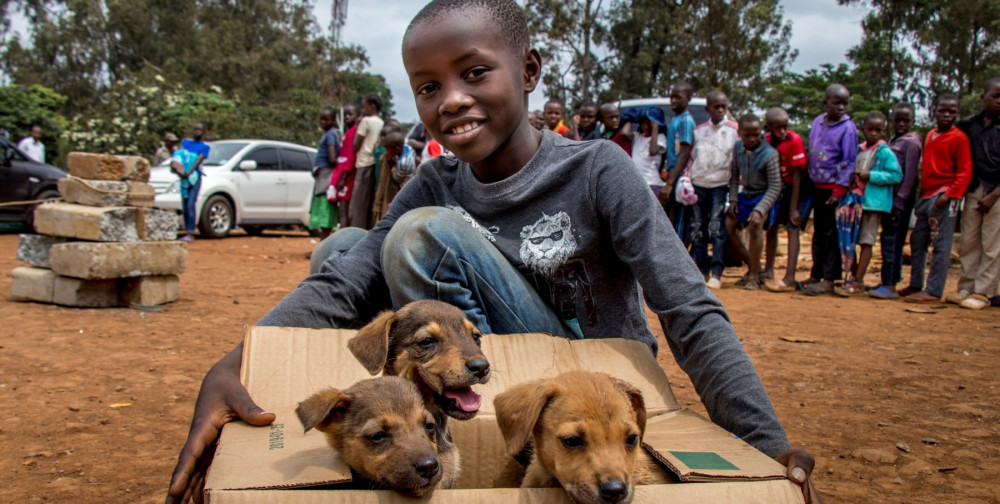 Boy with dogs in Kenya