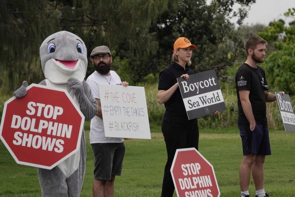 World Animal Protection joined fellow animal protection organizations to demand SeaWorld stop breeding dolphins. 