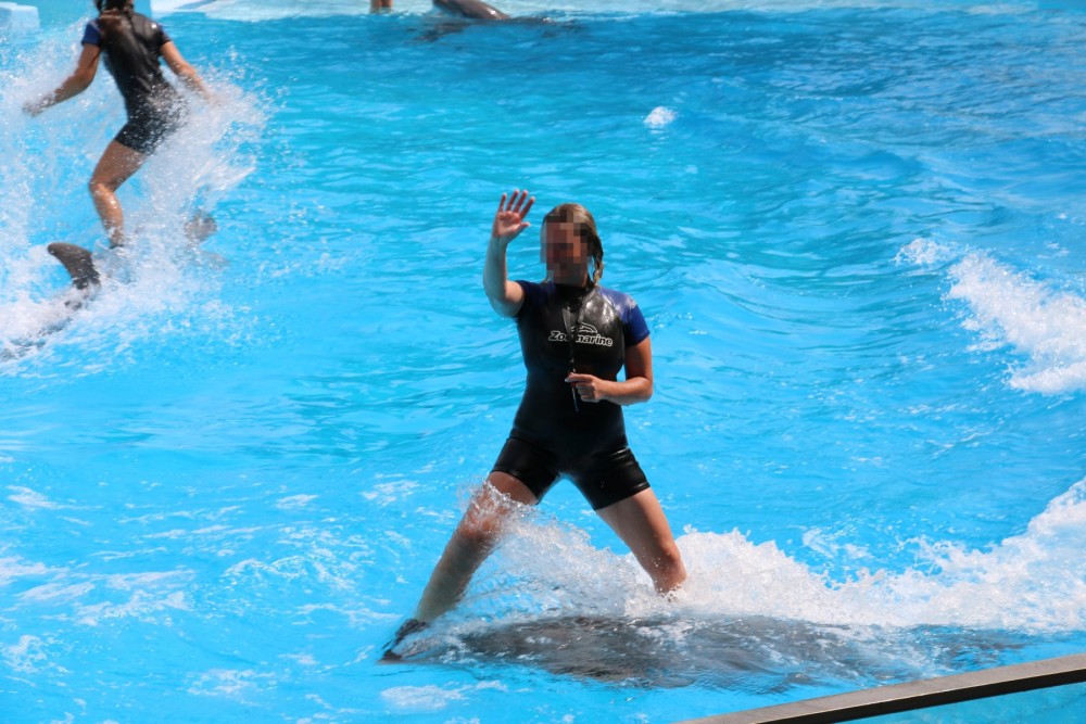 Dolphins in entertainment at Zoomarine Portugal - Wildlife. Not entertainers - World Animal Protection