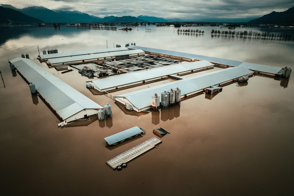 A farm sits partially submerged in water from the Abbotsford, BC floods in November of 2021