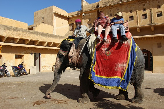 An elephant at Amer Fort with tourists on their back