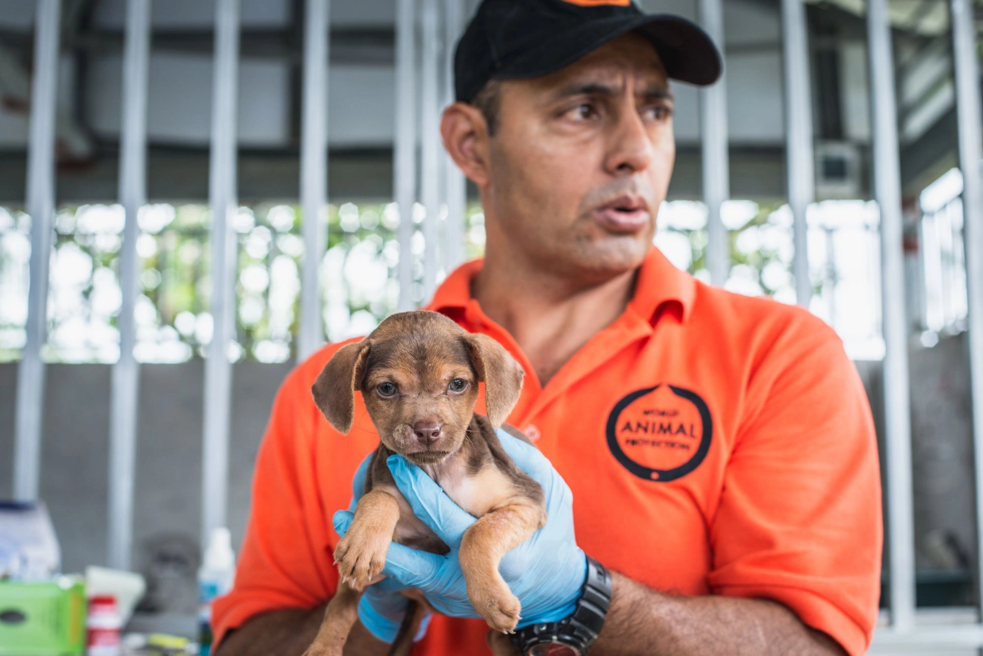 World Animal Protection disaster response officer holding a puppy dog