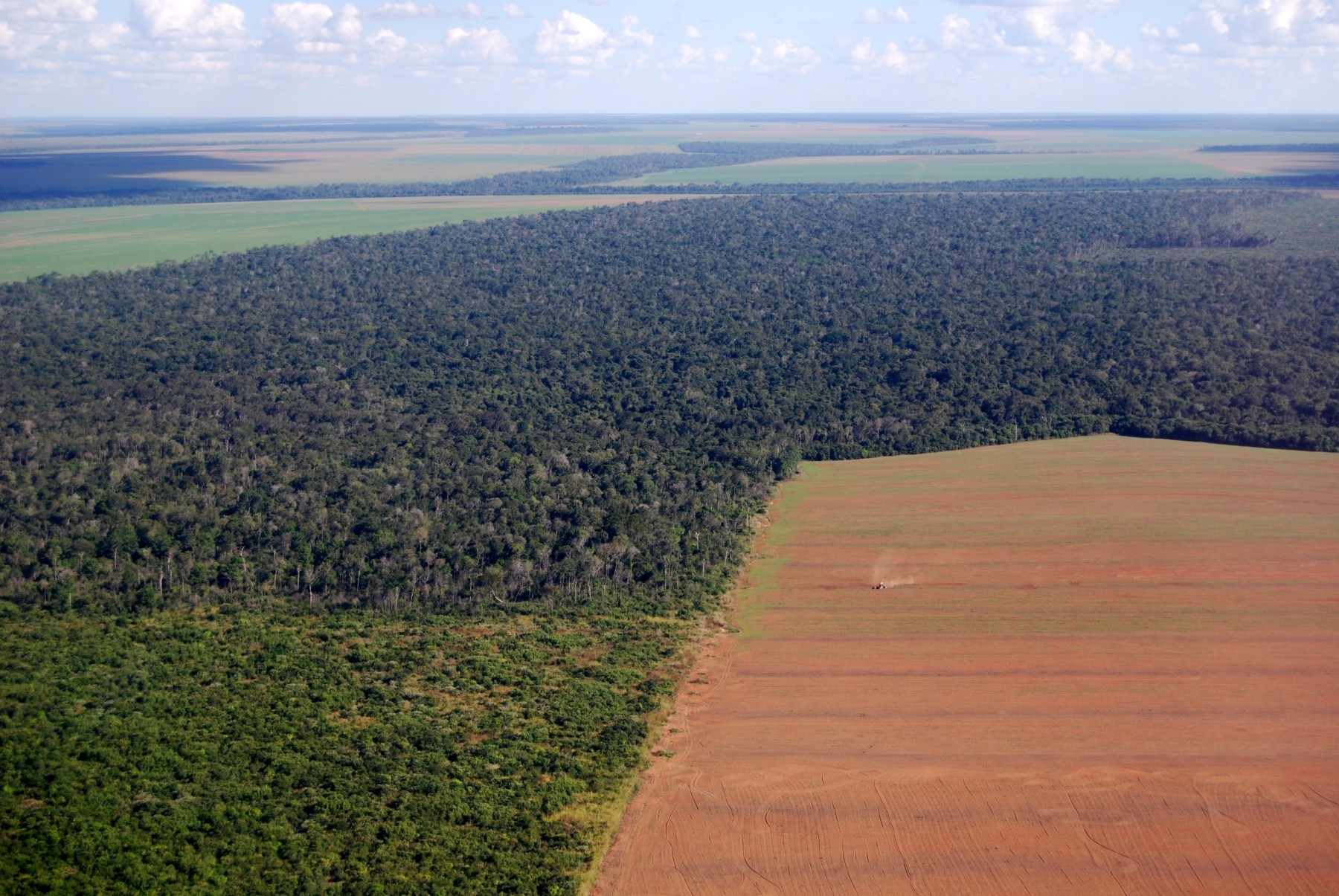 Deforestation in Brazil, aerial view of a large soy field eating into the tropical rainforest 
